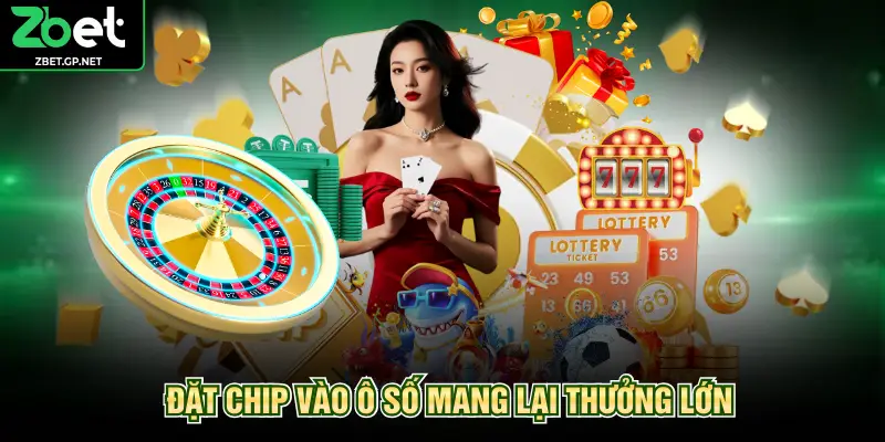 Đặt chip vào ô số mang lại thưởng lớn