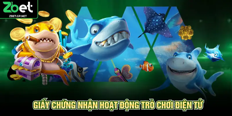 Giấy chứng nhận hoạt động trò chơi điện tử