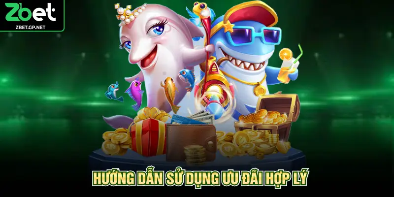 Hướng dẫn sử dụng ưu đãi hợp lý