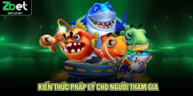 Kiến thức pháp lý cho người tham gia
