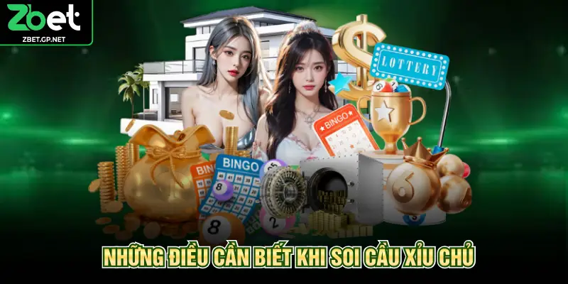 Những điều cần biết khi soi cầu xỉu chủ
